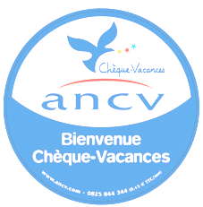 logo ancv